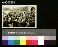 藏品(臺北新公園與台博館黑白相片)的圖片